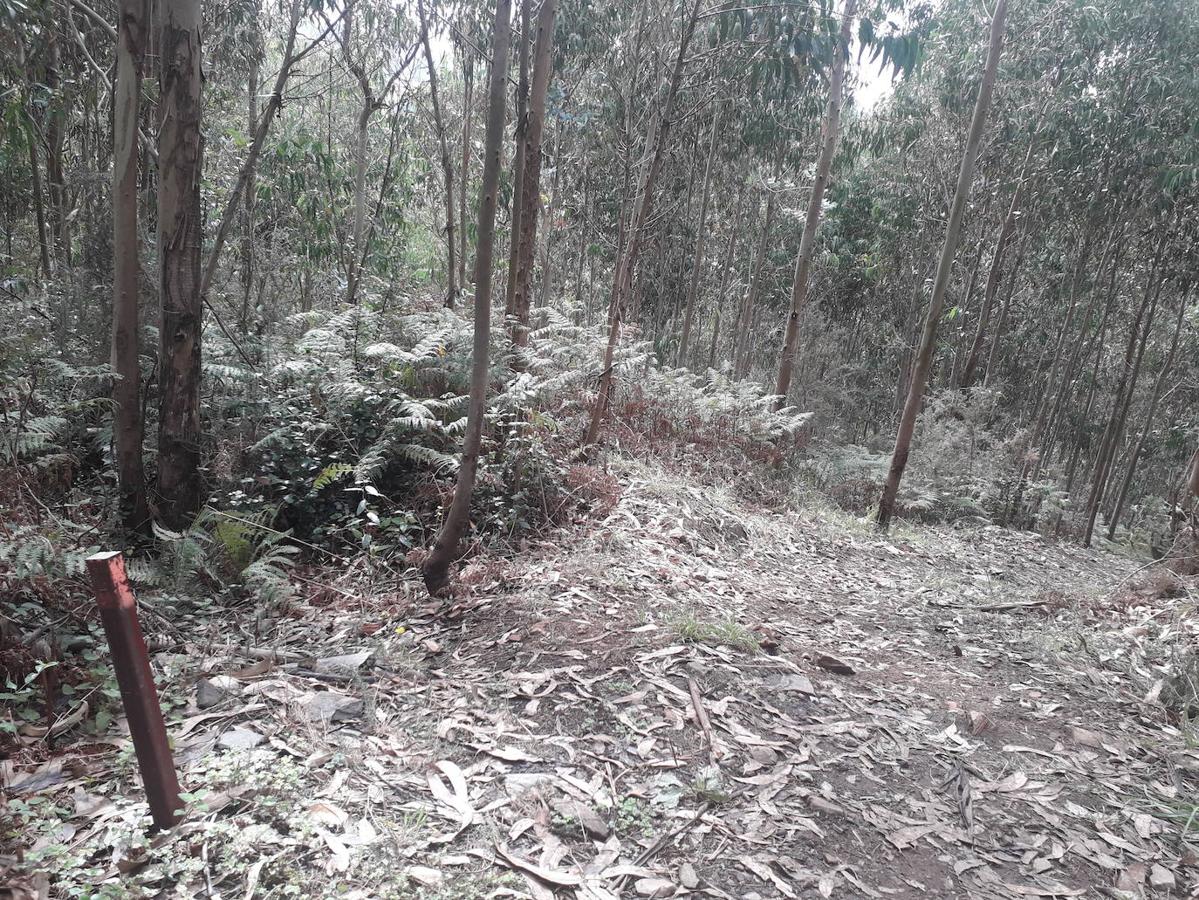 Fotos: Una caminata hasta las Trincheras de Ranón y su imponente mirador