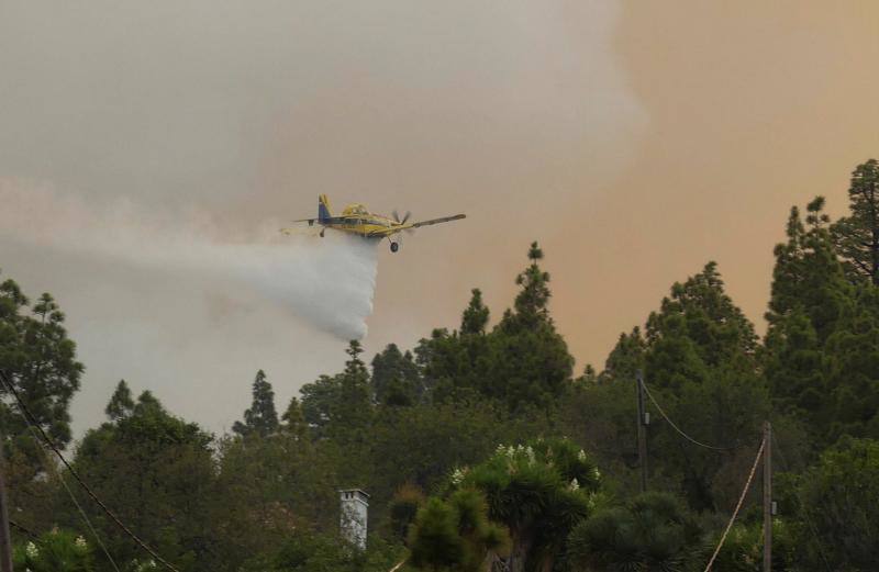El incendio que desde el viernes afecta a la isla canaria se encuentra en fase de consolidación del perímetro, que abarca unas 1.200 hectáreas, tras una noche dura con condiciones meteorológicas adversas. Las brigadas se enfrentan este domingo a horas críticas para evitar que se reactiven los puntos calientes.