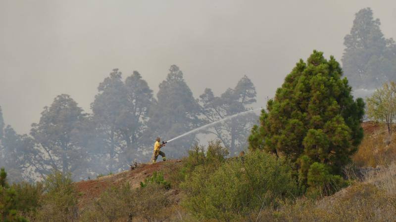 El incendio que desde el viernes afecta a la isla canaria se encuentra en fase de consolidación del perímetro, que abarca unas 1.200 hectáreas, tras una noche dura con condiciones meteorológicas adversas. Las brigadas se enfrentan este domingo a horas críticas para evitar que se reactiven los puntos calientes.