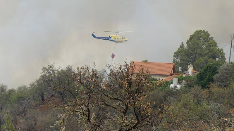 El incendio que desde el viernes afecta a la isla canaria se encuentra en fase de consolidación del perímetro, que abarca unas 1.200 hectáreas, tras una noche dura con condiciones meteorológicas adversas. Las brigadas se enfrentan este domingo a horas críticas para evitar que se reactiven los puntos calientes.