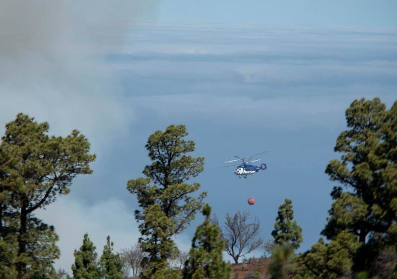 El incendio que desde el viernes afecta a la isla canaria se encuentra en fase de consolidación del perímetro, que abarca unas 1.200 hectáreas, tras una noche dura con condiciones meteorológicas adversas. Las brigadas se enfrentan este domingo a horas críticas para evitar que se reactiven los puntos calientes.