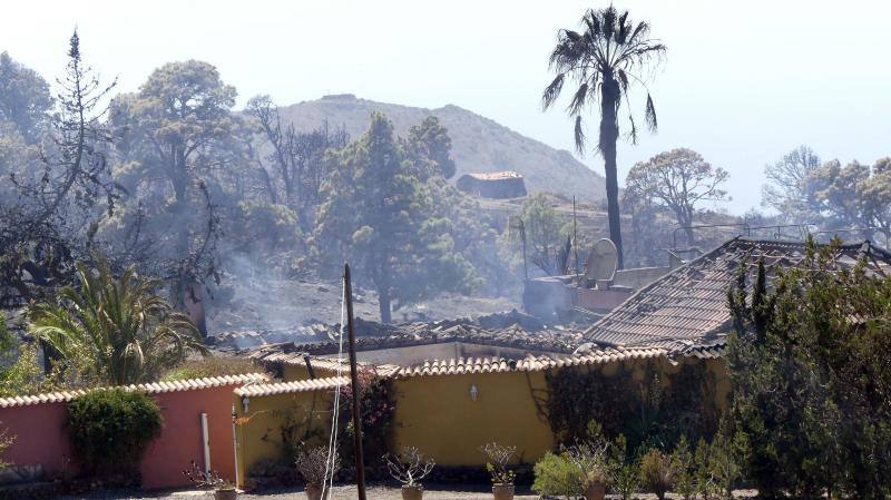 El incendio que desde el viernes afecta a la isla canaria se encuentra en fase de consolidación del perímetro, que abarca unas 1.200 hectáreas, tras una noche dura con condiciones meteorológicas adversas. Las brigadas se enfrentan este domingo a horas críticas para evitar que se reactiven los puntos calientes.