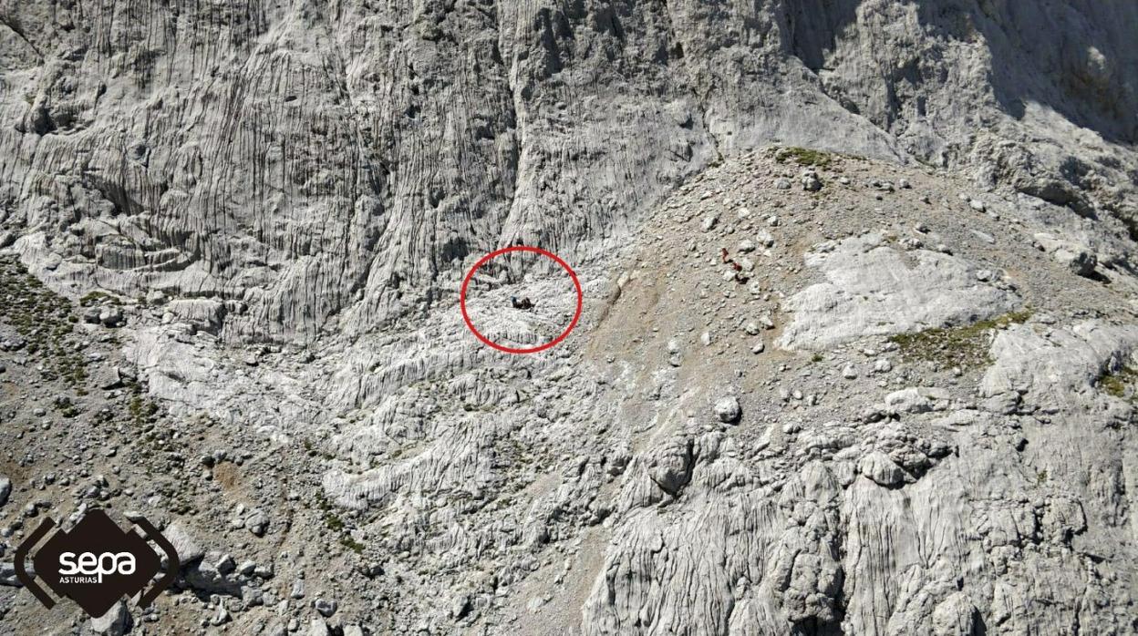 El escalador cayó desde 20 metros en la cara este. 