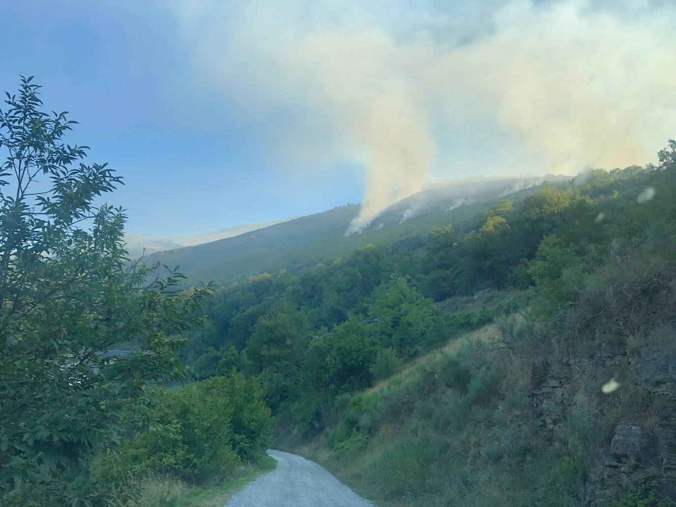 Un incendio declarado este martes entre las localidades de Villardecendias y Villarmeirín, en Ibias, amenaza la Reserva Integral de Muniellos. Dada la ubicación y la previsión meteorológica, el Principado ha activado la fase de emergencia del INFOPA en situación 0.