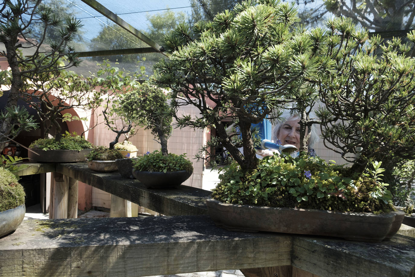 1. Jardines de Evaristo Valle (Somió, Asturias)