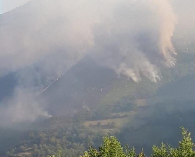 El incendio se declaró entre Villardecendias y Villarmeirín en Ibias, pueblos próximos a la reserva integral. 