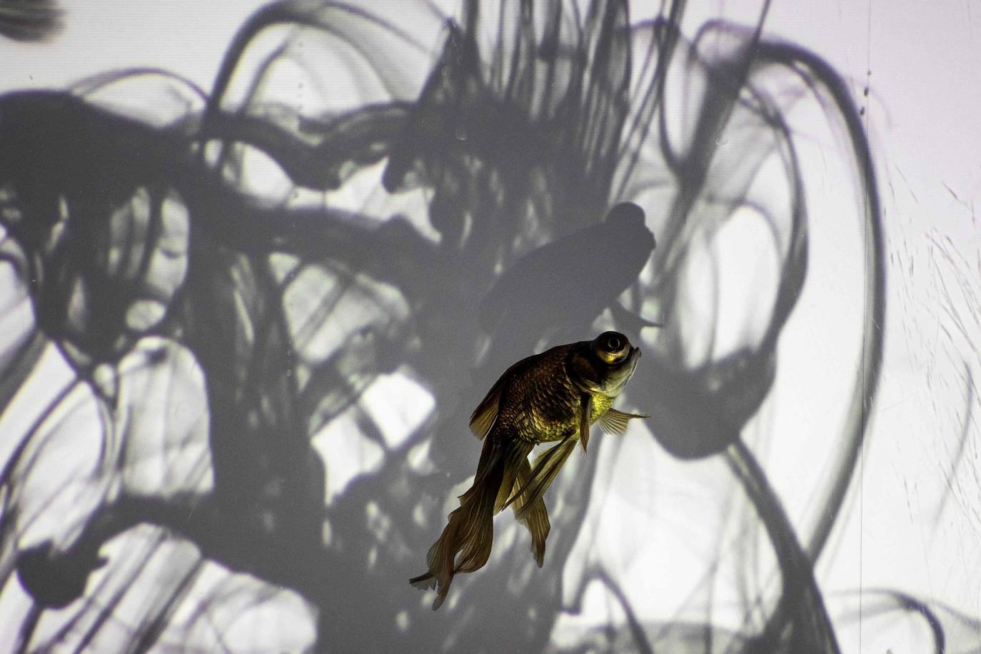 'Reflecterium' es una exposición que tiene lugar una vez al año y es una de las más populares durante el verano de la capital nipona y se ha ganado el cariño de sus habitantes debido a esa mezcla de cultura tradicional con juegos de luces y hasta aromas.