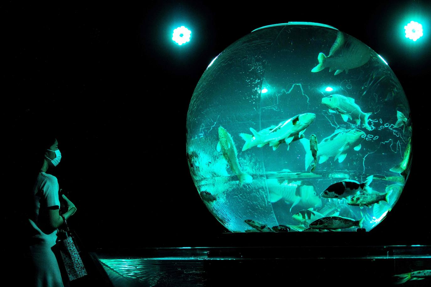 'Reflecterium' es una exposición que tiene lugar una vez al año y es una de las más populares durante el verano de la capital nipona y se ha ganado el cariño de sus habitantes debido a esa mezcla de cultura tradicional con juegos de luces y hasta aromas.