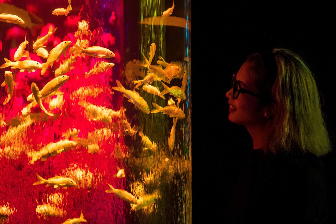 'Reflecterium' es una exposición que tiene lugar una vez al año y es una de las más populares durante el verano de la capital nipona y se ha ganado el cariño de sus habitantes debido a esa mezcla de cultura tradicional con juegos de luces y hasta aromas.