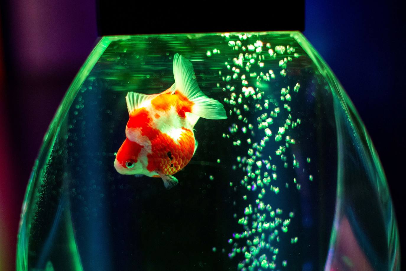 'Reflecterium' es una exposición que tiene lugar una vez al año y es una de las más populares durante el verano de la capital nipona y se ha ganado el cariño de sus habitantes debido a esa mezcla de cultura tradicional con juegos de luces y hasta aromas.