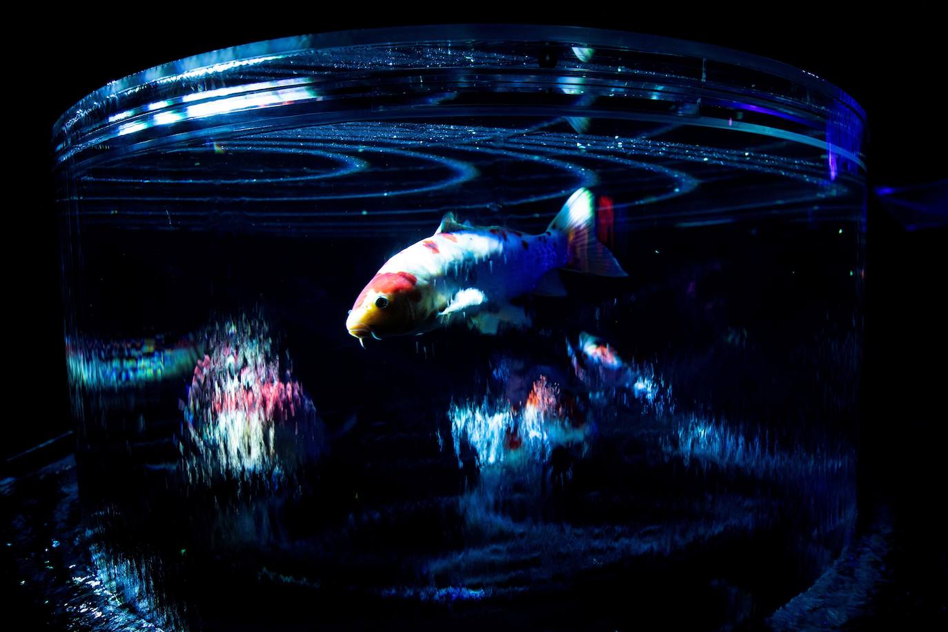 'Reflecterium' es una exposición que tiene lugar una vez al año y es una de las más populares durante el verano de la capital nipona y se ha ganado el cariño de sus habitantes debido a esa mezcla de cultura tradicional con juegos de luces y hasta aromas.