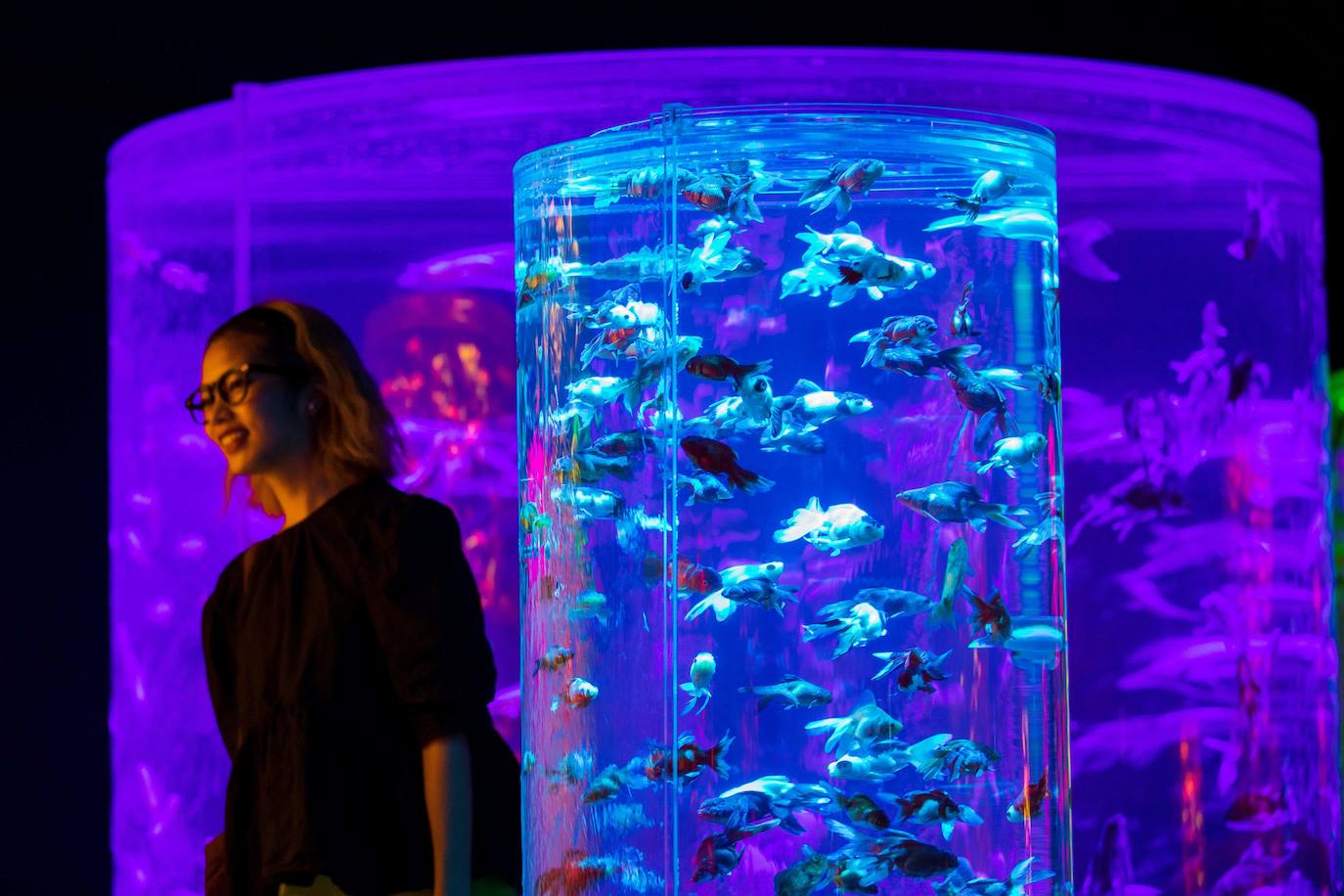 'Reflecterium' es una exposición que tiene lugar una vez al año y es una de las más populares durante el verano de la capital nipona y se ha ganado el cariño de sus habitantes debido a esa mezcla de cultura tradicional con juegos de luces y hasta aromas.