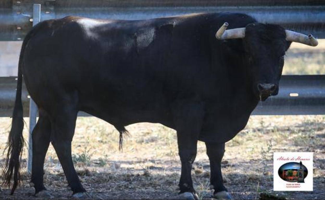 La Comunidad de Madrid suspende la feria taurina de Alcalá «por prudencia» ante el Covid