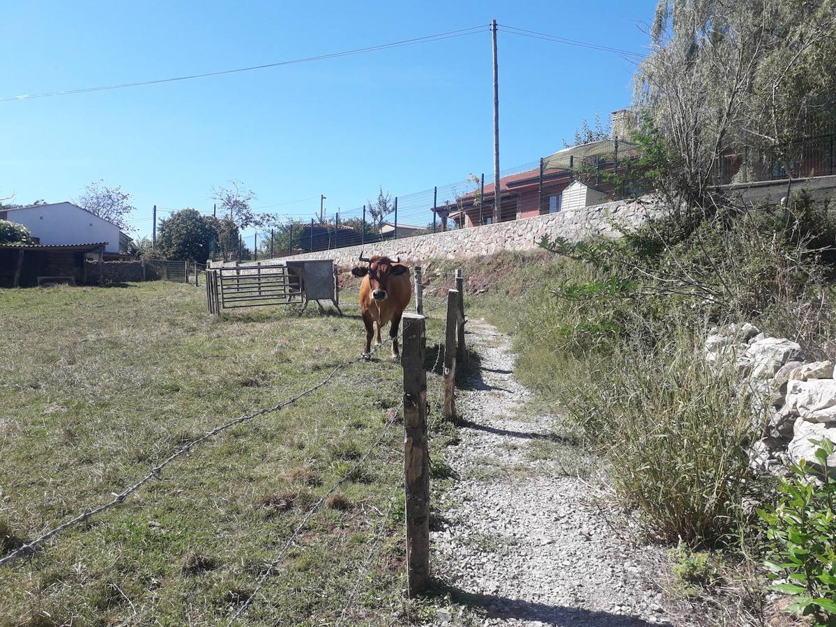 Fotos: Ruta de los Covarones del río Tuernes