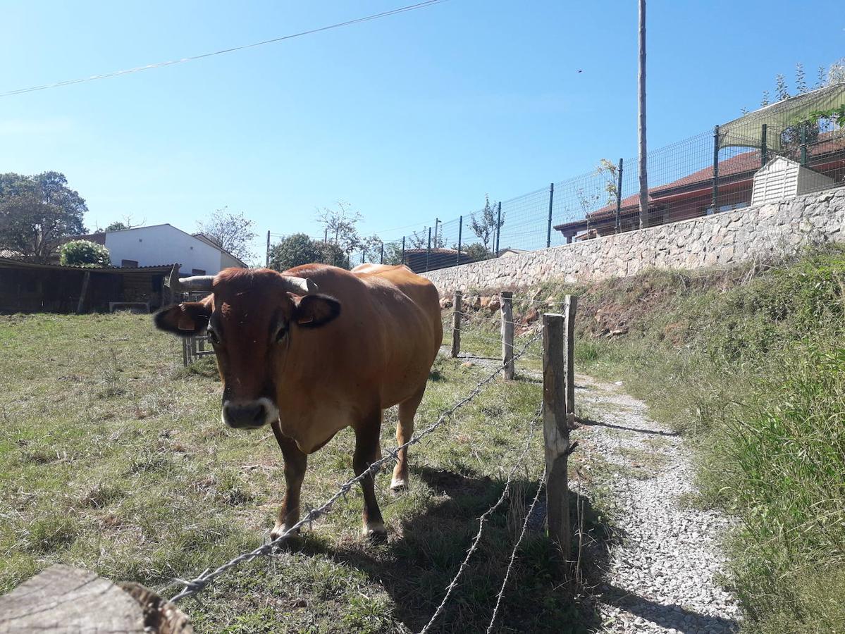 Fotos: Ruta de los Covarones del río Tuernes