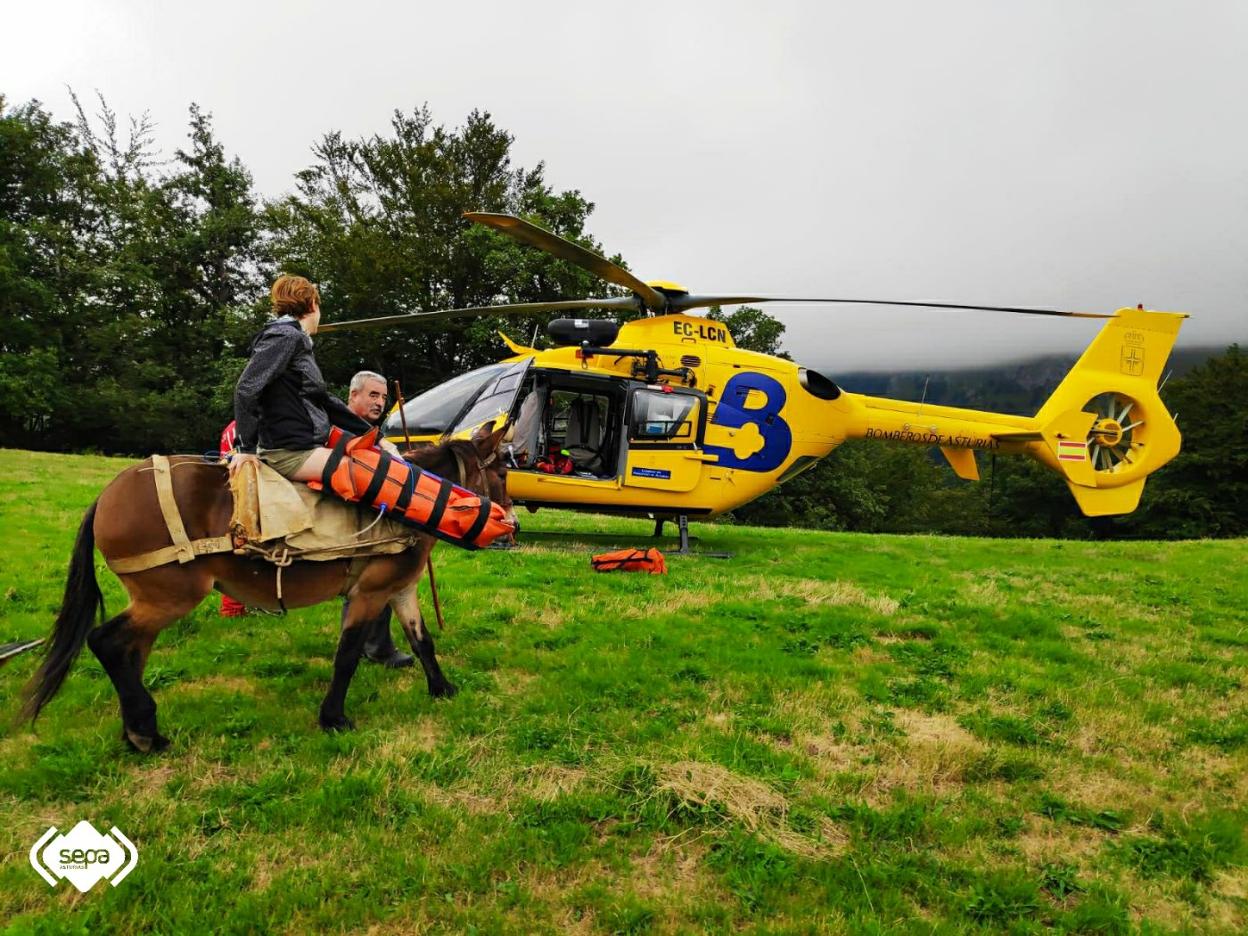 La mujer herida llega hasta el helicóptero subida en la mula. 