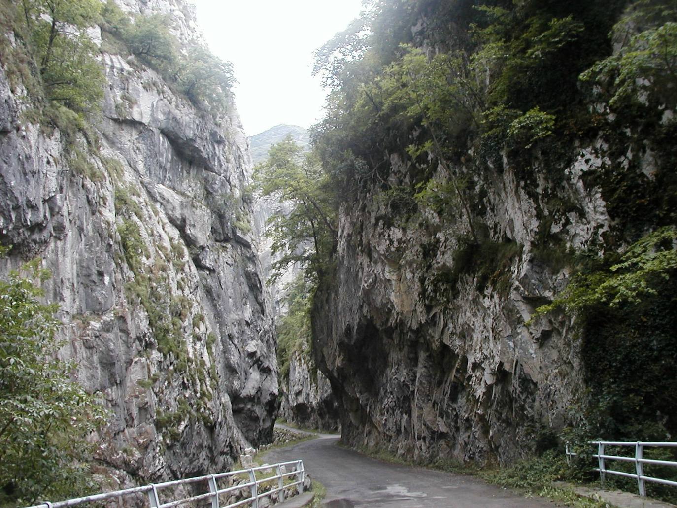 En el concejo de Aller se localiza el Monumento Natural de las Foces de El Pino, “un angosto desfiladero de unos trescientos metros de longitud que forma el río Pino en su tramo medio”. Se trata de un desfiladero “de paredes casi verticales que en algunos puntos no tiene más de seis metros de anchura y por cuyo fondo discurren las aguas rompiendo en numerosos rápidos y cascadas”. Hayas, avellanos y robles decoran parte de este recorrido, en el que también abunda el brezal y los pastizales.