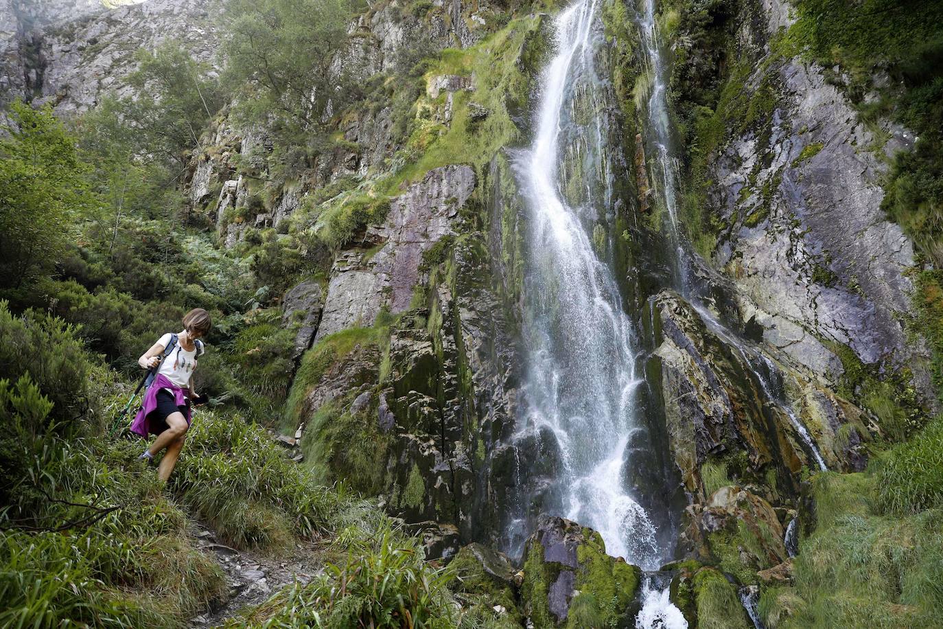 Sin lugar a dudas, una de las cascadas más espectaculares de Asturias es el Tabayón de Mongayo, Monumento Natural desde el año 2003. Localizado en el concejo de Caso, en el Parque Natural de Redes, es un salto de agua de unos sesenta metros de altura enclavado en una zona en la que abundan las hayas y los abedules y en la que habitan el oso pardo, el urogallo y rapaces protegidas como el alimoche y el águila real y especies como el rebeco. Por todo esto, no es de extrañar que el decreto recoja que “el Tabayón de Mongayo constituye un enclave de gran valor natural, paisajístico y educativo”.