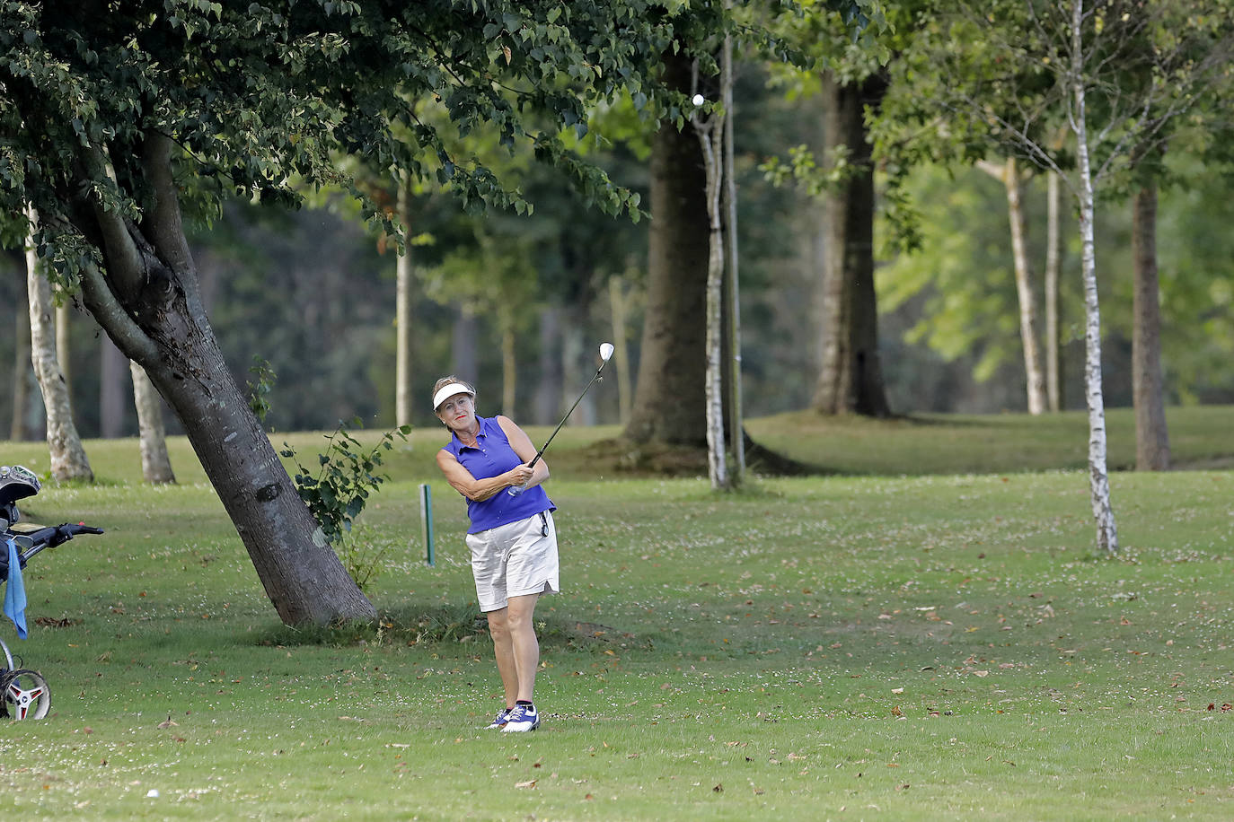 El Campo Municipal de Golf La Llorea acoge durante este miércoles y el jueves la primera edición de este torneo competitivo entre equipos sénior de Gijón y Oviedo, organizado por Golf Sénior Asturias (GSA). 