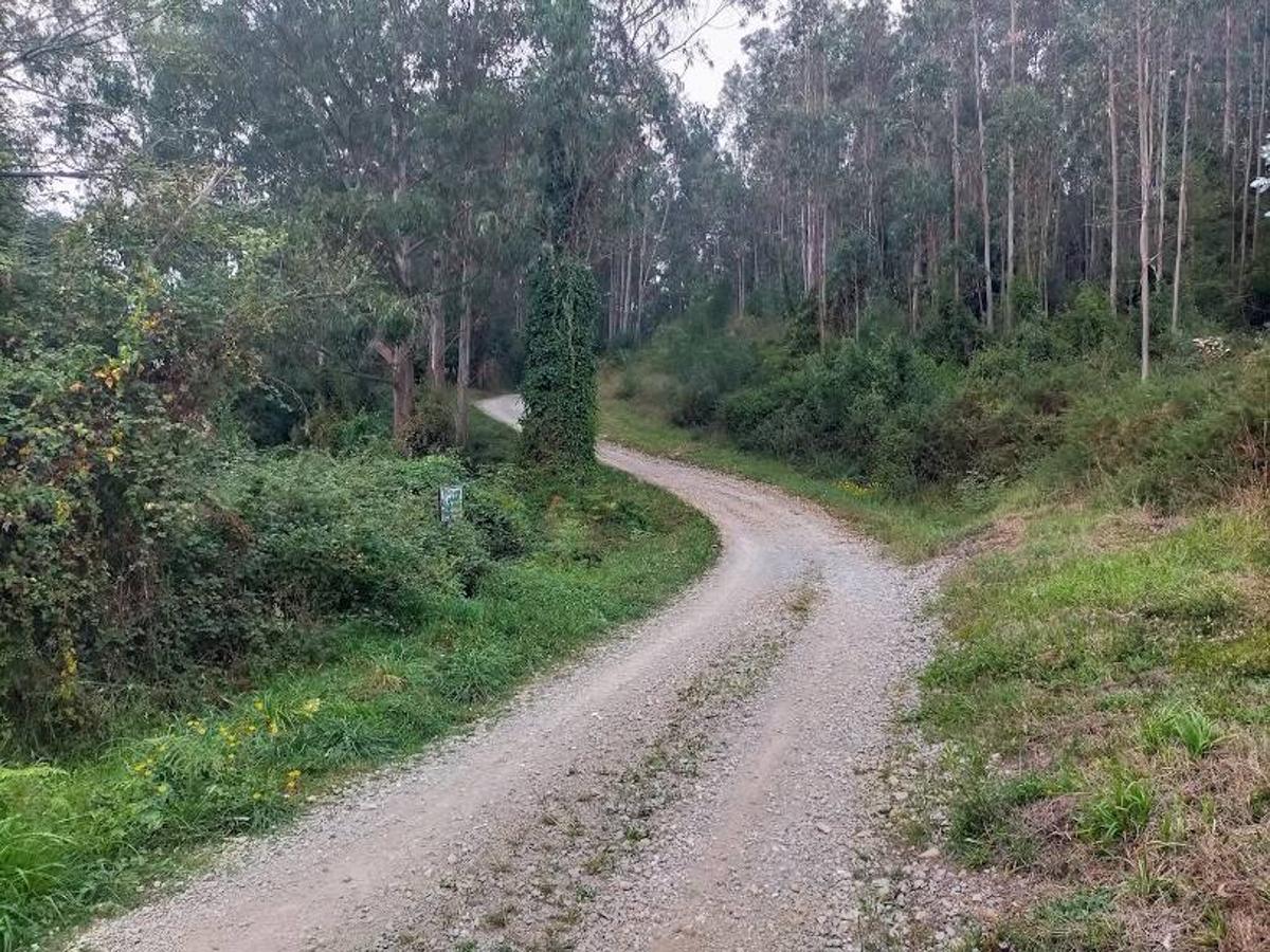 Fotos: Ruta por la Minona hasta el Picu Santufirme