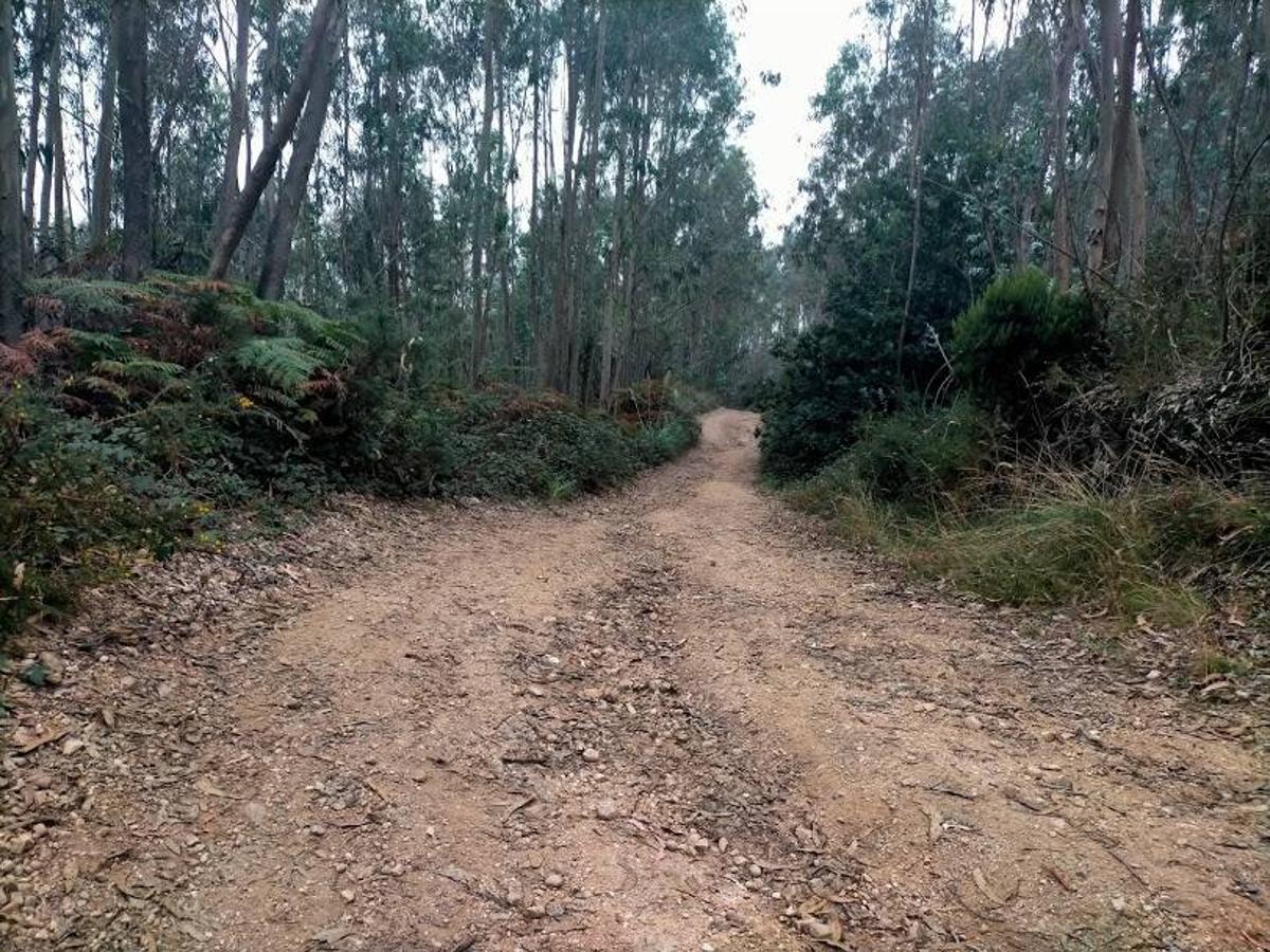 Fotos: Ruta por la Minona hasta el Picu Santufirme