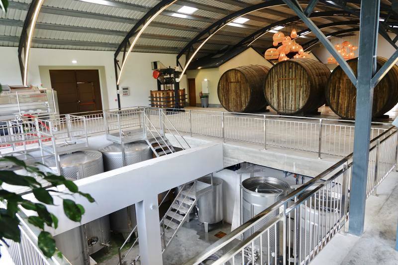 El Grupo Nature planea producir cerca de 18.000 litros de vino parragués en Huexes y en 2021 ampliará su oferta con visitas guiadas a los viñedos y catas.