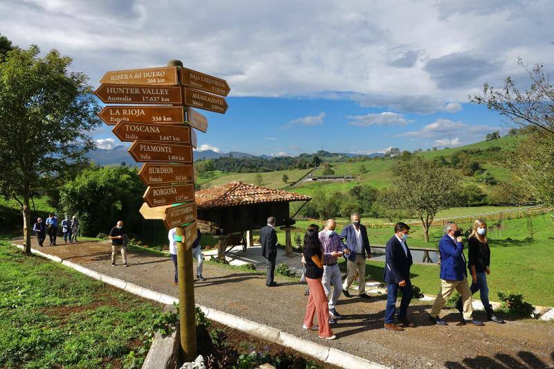 El Grupo Nature planea producir cerca de 18.000 litros de vino parragués en Huexes y en 2021 ampliará su oferta con visitas guiadas a los viñedos y catas.