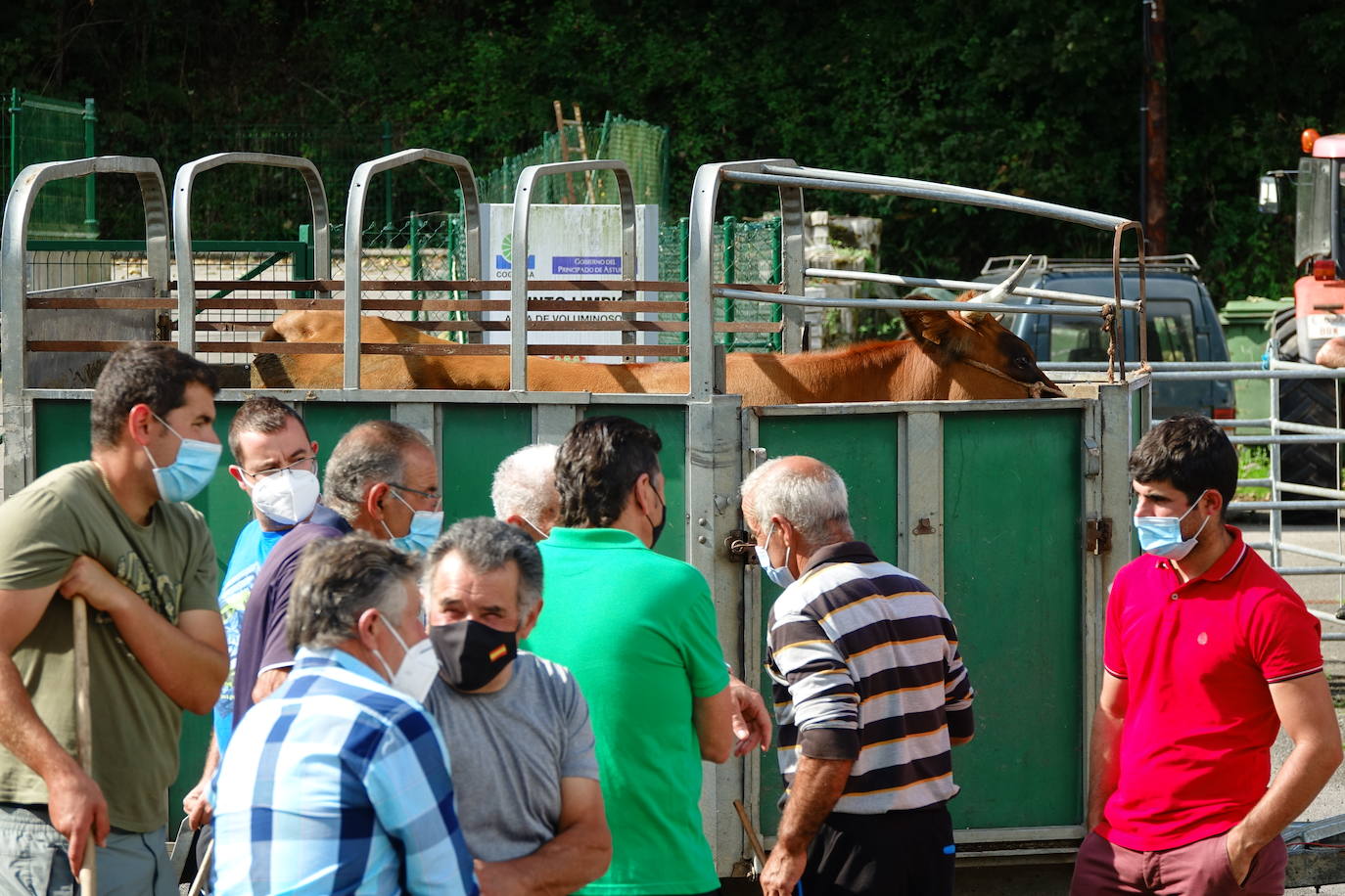 La feria de San Mateo, en Benia de Onís, inauguró este lunes la temporada 'post covid' de unas de las citas más esperadas por parte de los ganaderos de la zona. Lamentaron la caída de demanda y de precios en una jornada con apenas un centenar de animales.