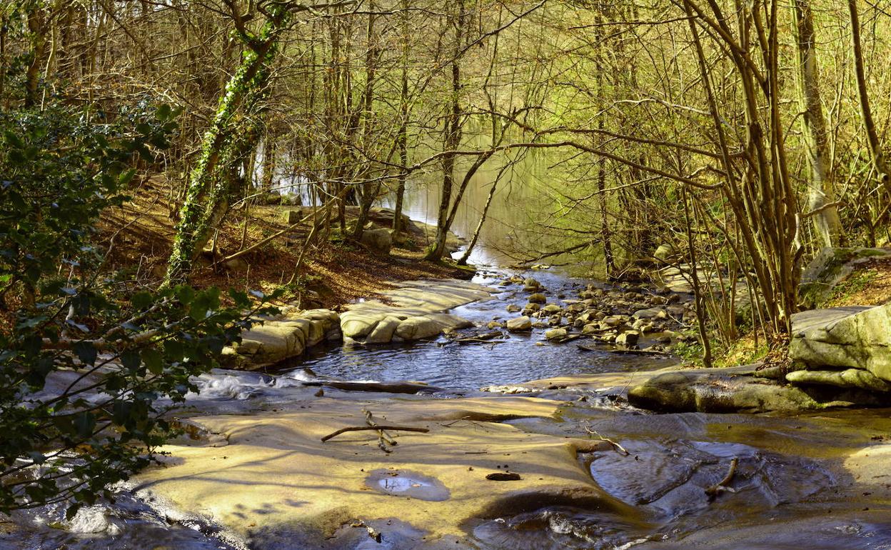 El Parque Natural de Montseny, por donde discurre la prueba. 