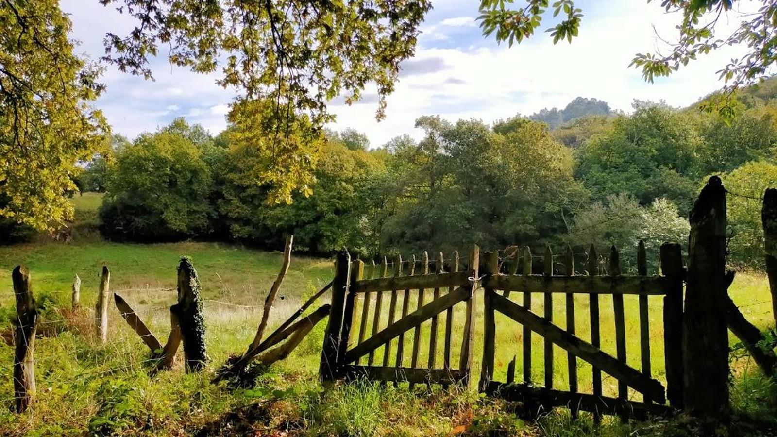 Fotos: Un paseo otoñal hasta el Picu Castiello