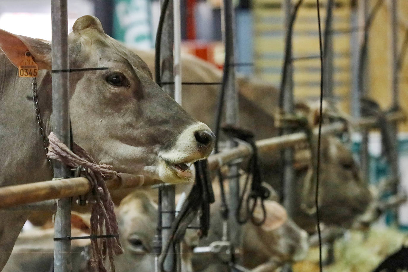 En esta 34 edición se cuenta con un novedoso sistema de control epidemiológico que posibilita el conocimiento y control de los visitantes y de su entorno