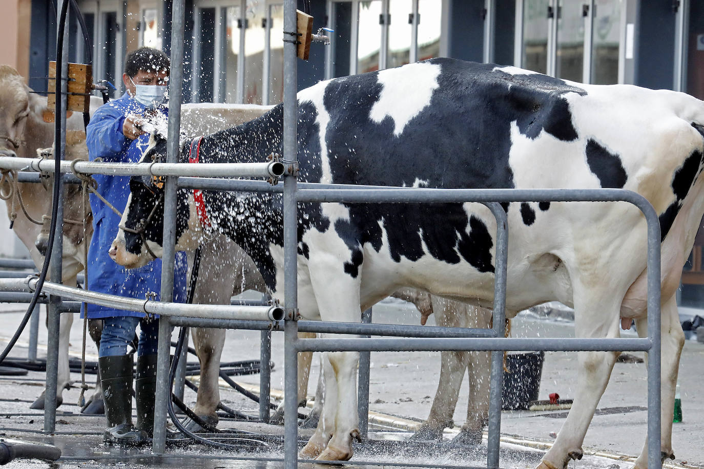 En esta 34 edición se cuenta con un novedoso sistema de control epidemiológico que posibilita el conocimiento y control de los visitantes y de su entorno