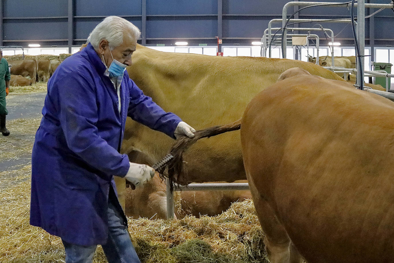 En esta 34 edición se cuenta con un novedoso sistema de control epidemiológico que posibilita el conocimiento y control de los visitantes y de su entorno