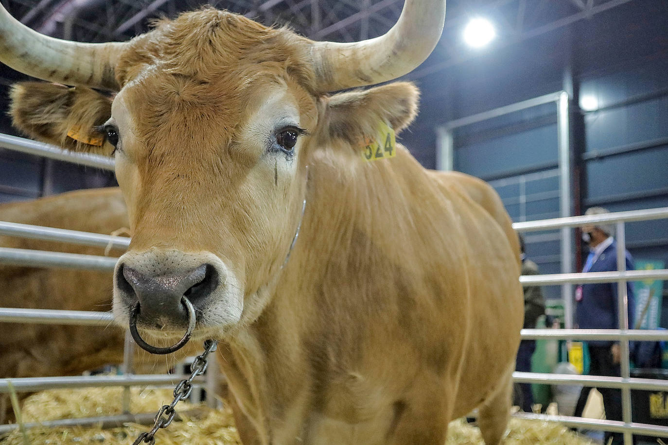En esta 34 edición se cuenta con un novedoso sistema de control epidemiológico que posibilita el conocimiento y control de los visitantes y de su entorno