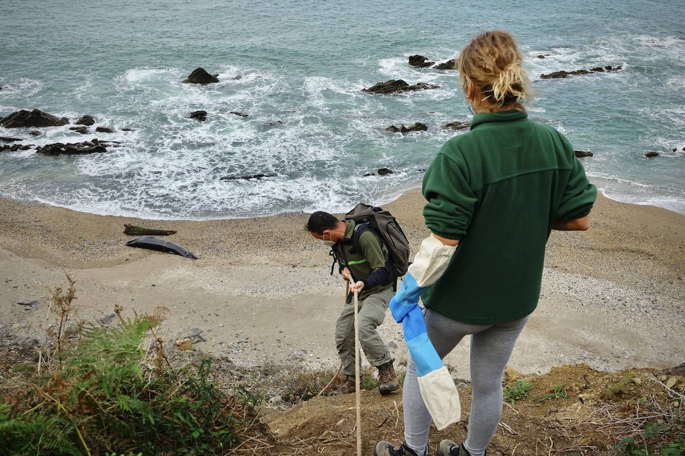 Personal del Principado ha descendido este lunes a la playa del Arra (Ribadesella) para analizar los restos del cetáceo que apareció varado en el arenal asturiano. Se trata de un rorcual norteño de 7,8 metros de longitud y dos toneladas de peso, una especie poco común en esta zona y, hasta la fecha, no hay constancia de varamientos de estos ejemplares. 