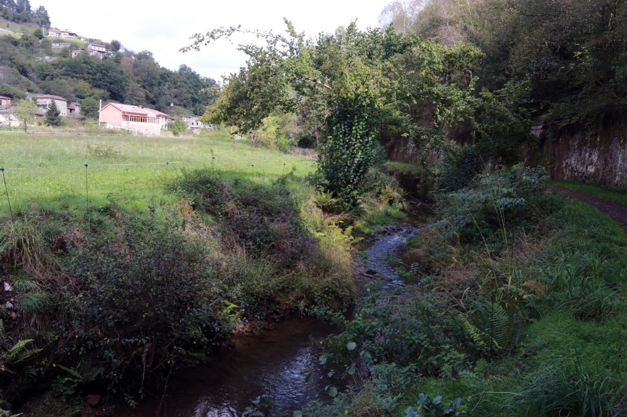 Zona donde apareció el cadáver. 