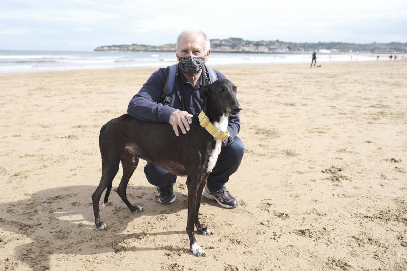 Como todos los años, el primer día de octubre supone el regreso de los perros a la playa de San Lorenzo. Los canes volvieron a disfrutar a lo grande del arenal gijonés.