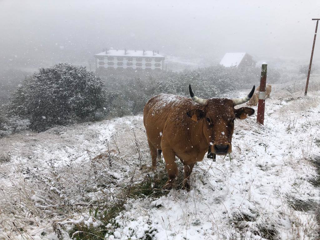 Asturias, en aviso por lluvia, viento y oleaje