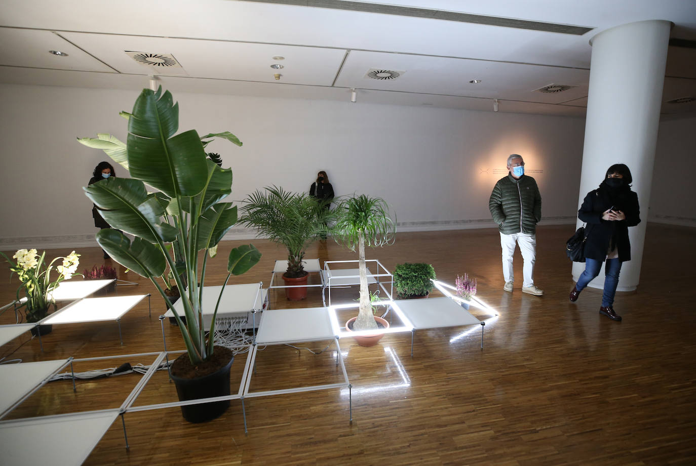 La Vega, Trascorrales o la Catedral fueron algunos de los escenarios de un evento del que el alcalde espera que «no salgan brotes, sino cultura»