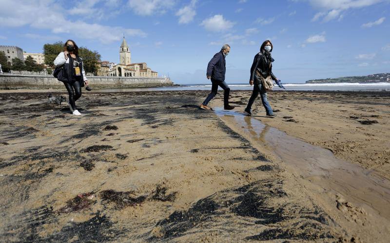 La pleamar de las 6.54 horas, de 3,83 metros, lanzó numerosas algas al paseo del Muro