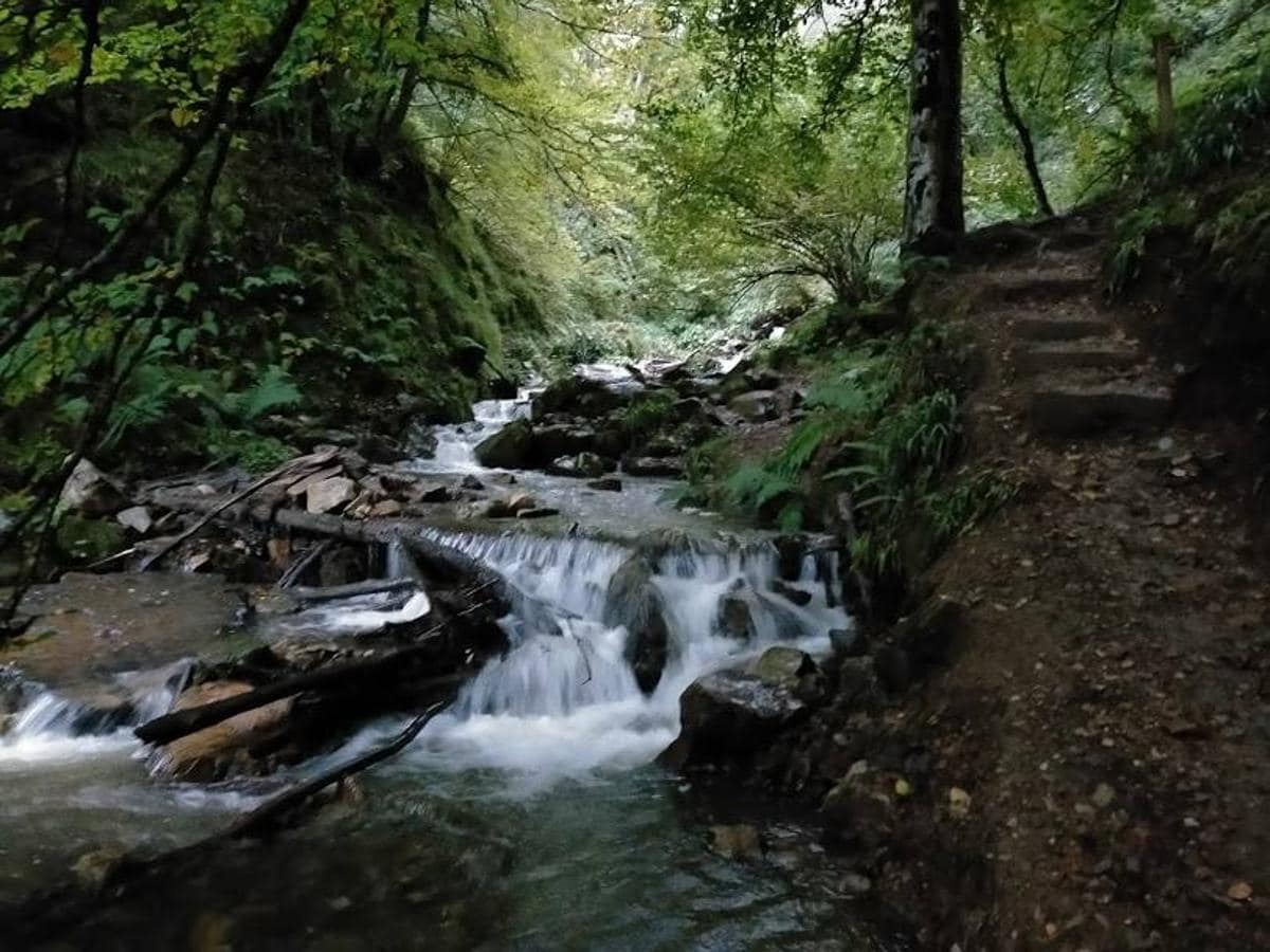 Fotos: Ruta por el hayedo de Montegrande hasta la Cascada del Xiblu