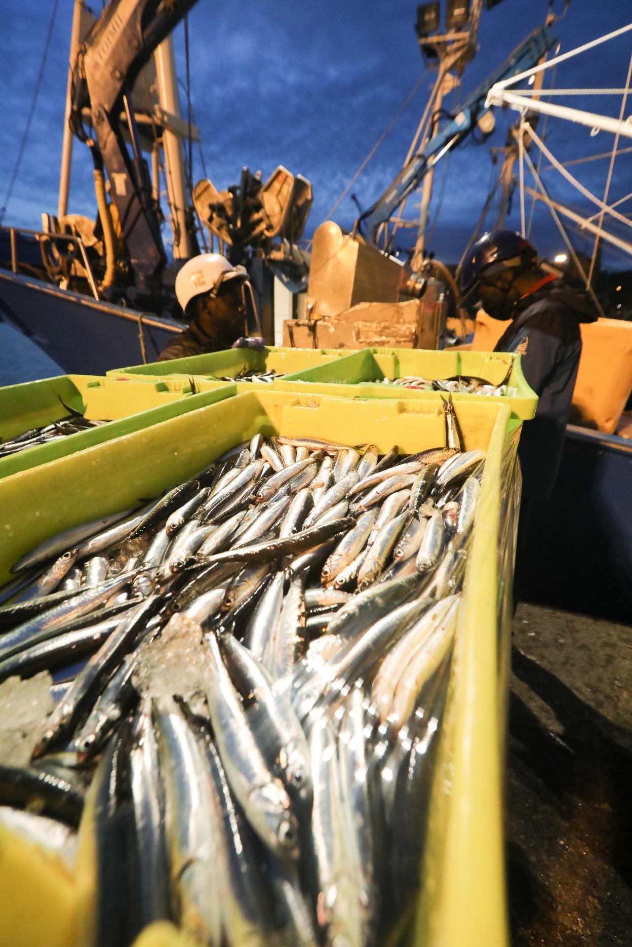 Descarga de bocarte. 