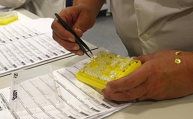 Coronavirus | Ciclosporina, el fármaco que puede reducir en un 81% el riesgo de fallecer por covid 