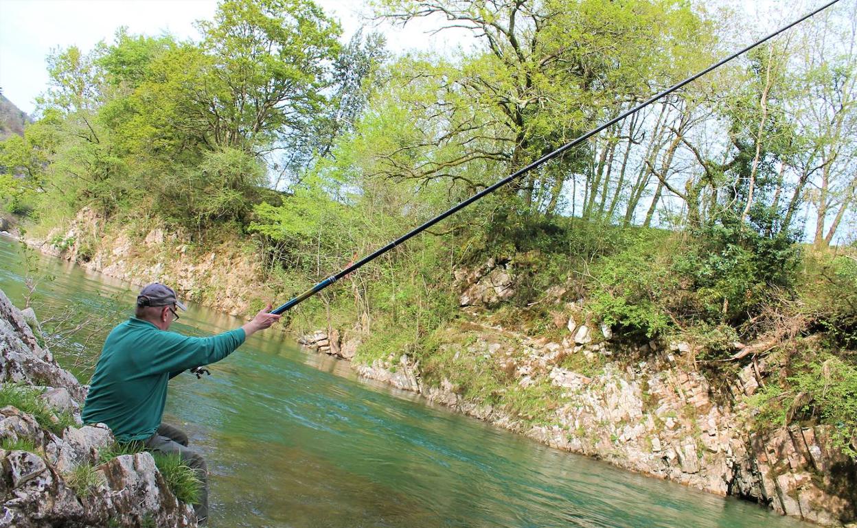 Los ecologistas piden al Principado que «sea valiente» con su normativa de pesca e incluya nuevas restricciones