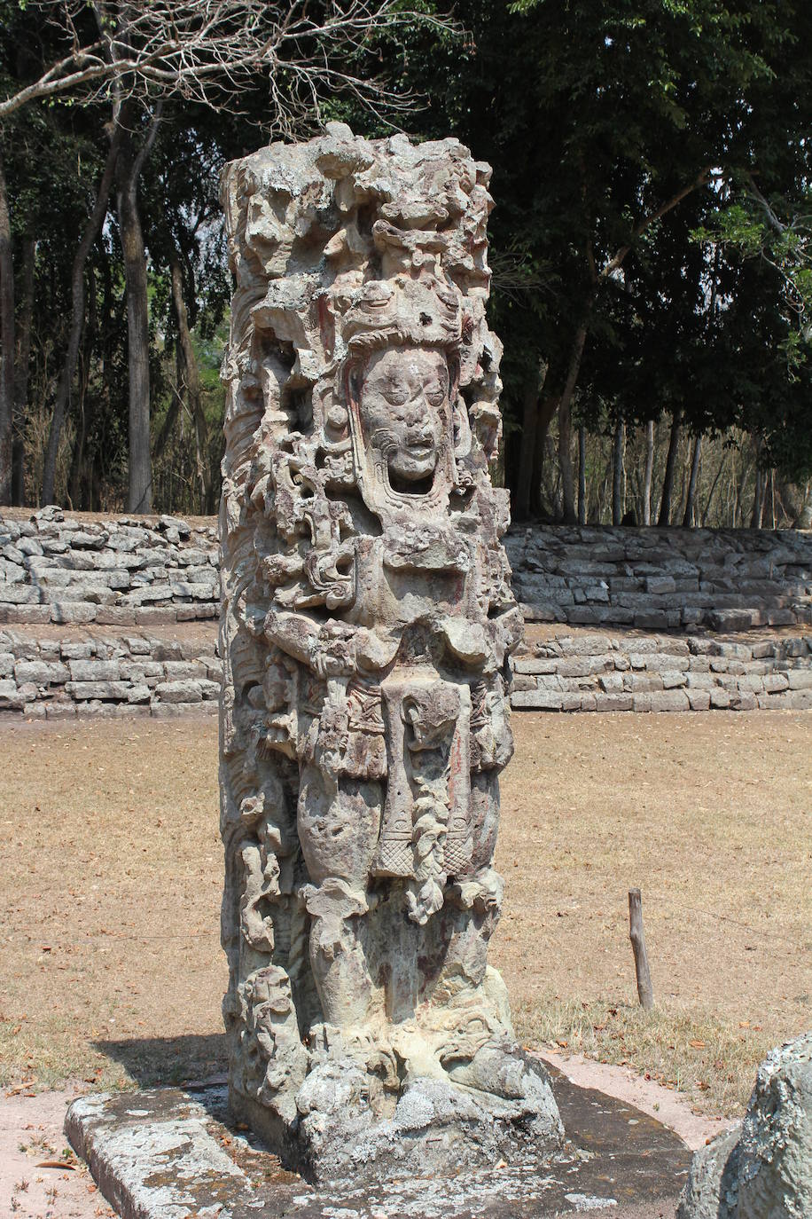 La escalinata de los jeroglíficos es lo que todos quieren visitar del Parque Arqueológico de Copán, un patrimonio mundial de los mayas al oeste de Honduras. Tiene 63 escalones y una altura de 12 metros, se levanta en un bosque localizado a unos 300 km al noroeste de Tegucigalpa. La UNESCO la declaró Patrimonio Mundial en 1980.