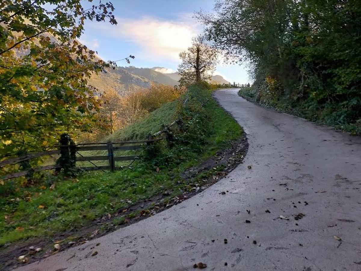 Fotos: Ruta otoñal hasta el refugio de Brañagallones