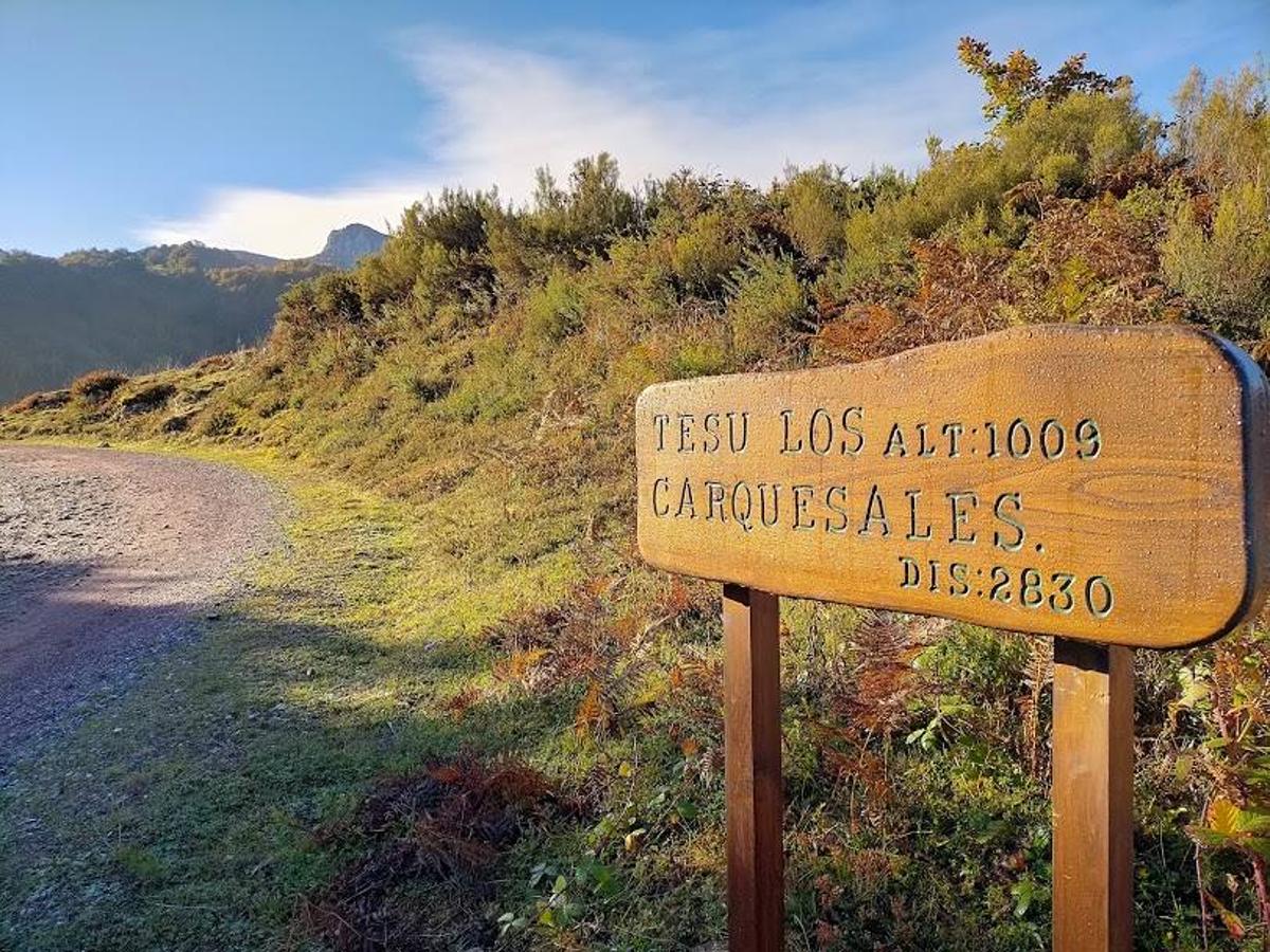 Fotos: Ruta otoñal hasta el refugio de Brañagallones