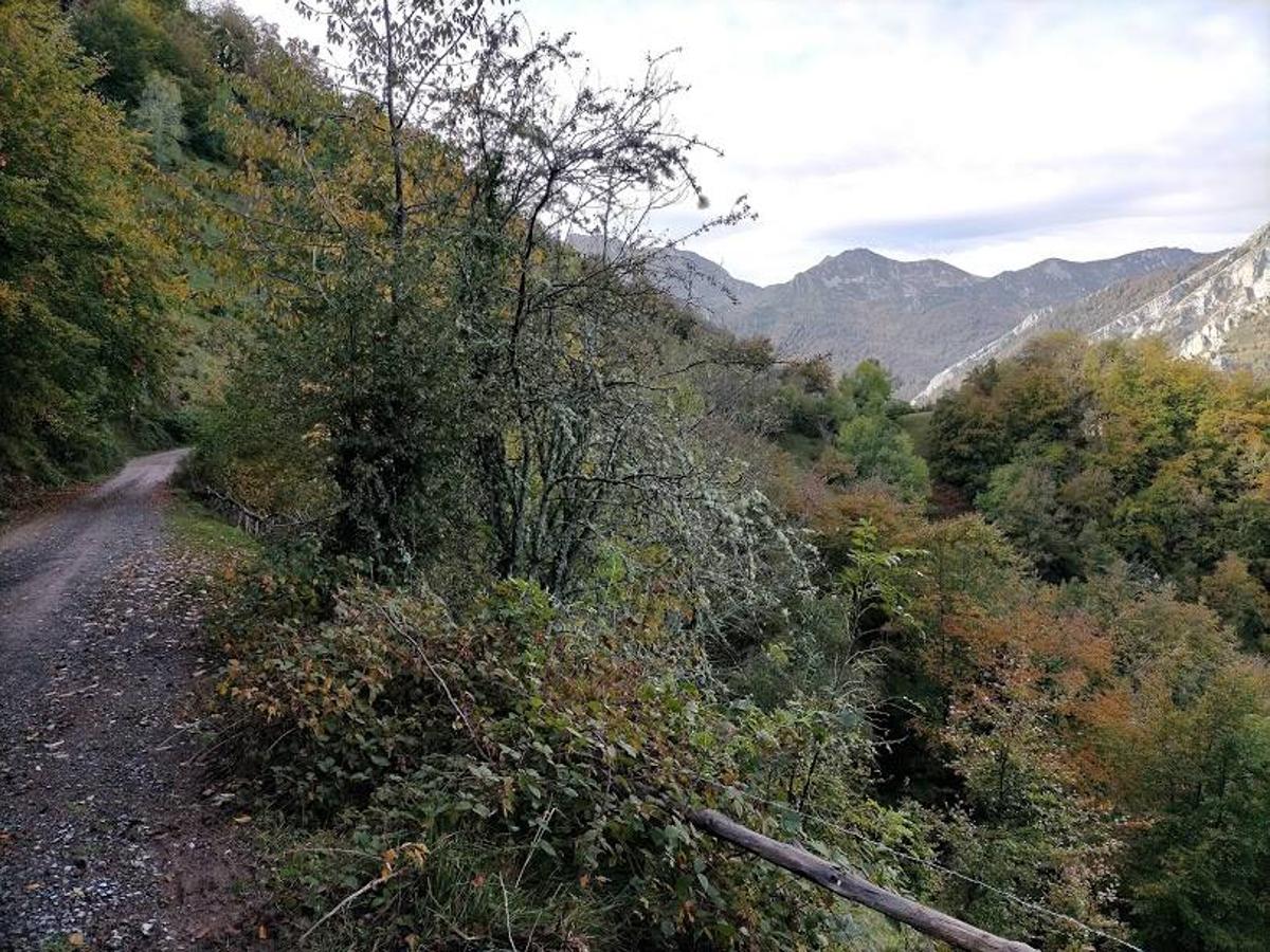 Fotos: Ruta otoñal hasta el refugio de Brañagallones