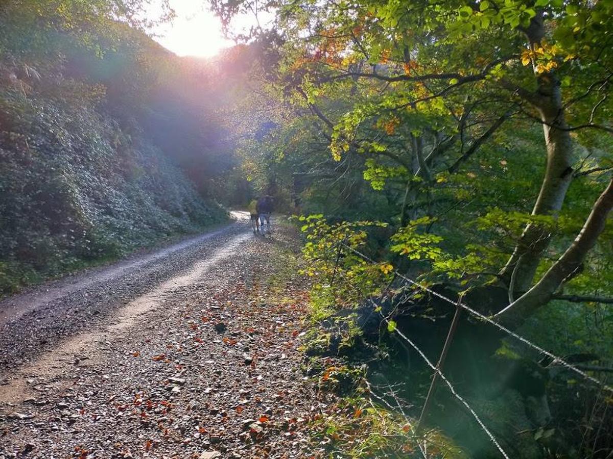 Fotos: Ruta otoñal hasta el refugio de Brañagallones