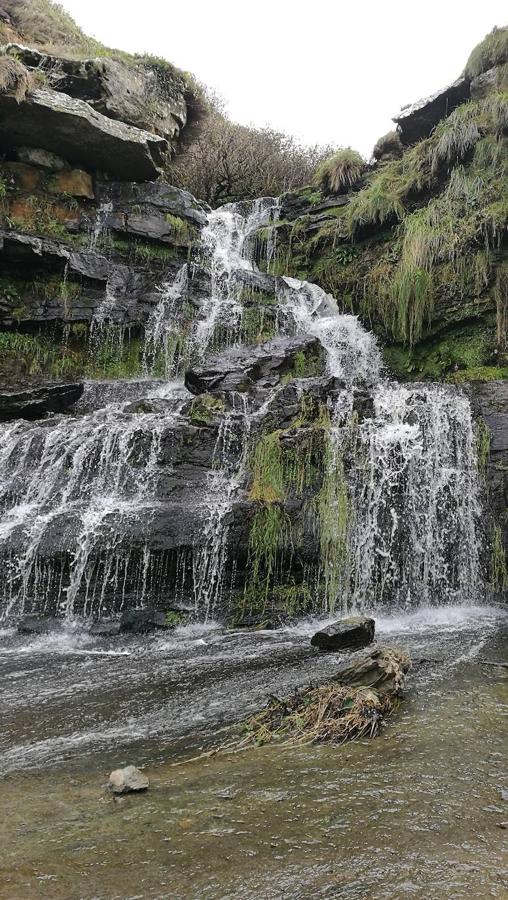 Fotos: Paseo hasta la cascada de la Mexona